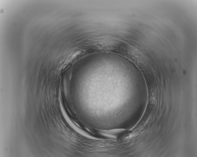 X0000088601108200706011155