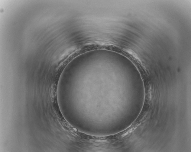 X0000088601110200706011155