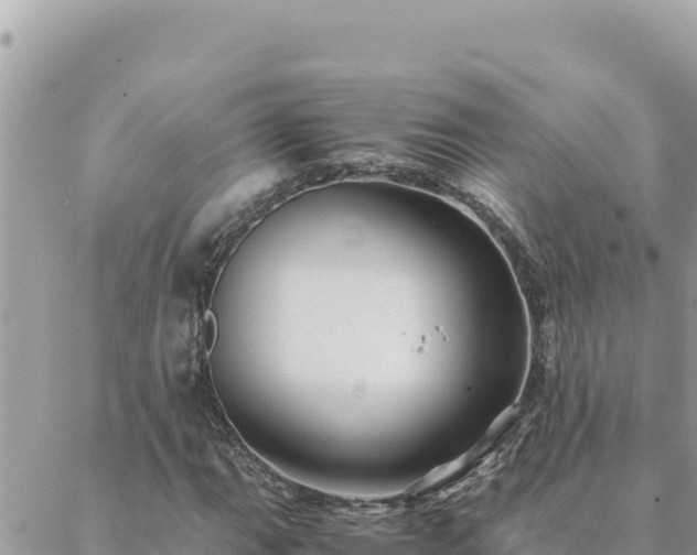 X0000088601111200706011156