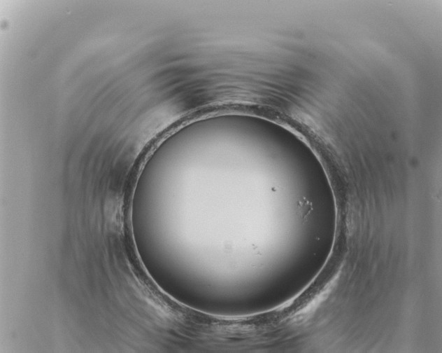 X0000088601113200706011156