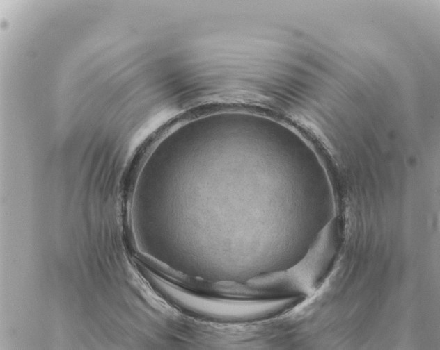 X0000088601114200706011156