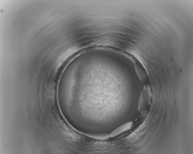 X0000088601115200706011156