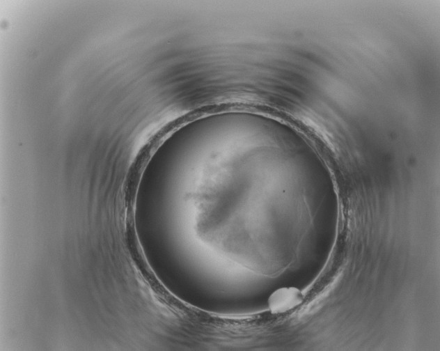 X0000088601117200706011156