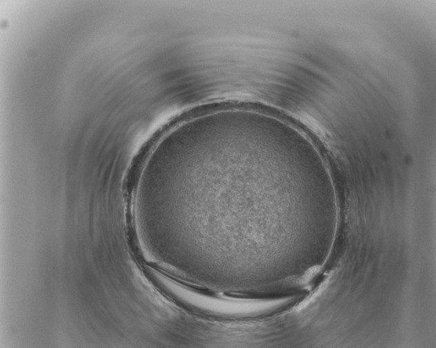 X0000088601118200706011156