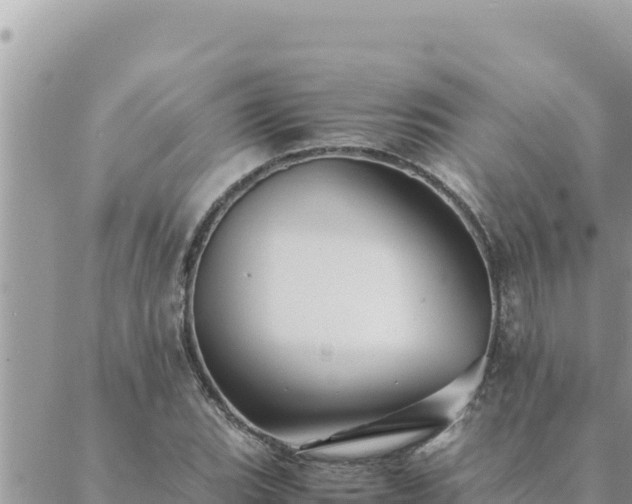 X0000088601119200706011156