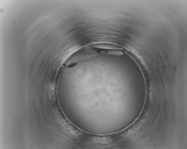 X0000088601121200706011156