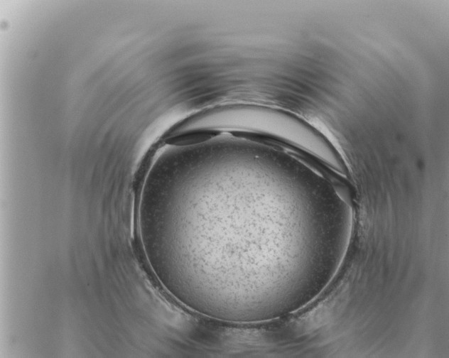 X0000088601123200706011156