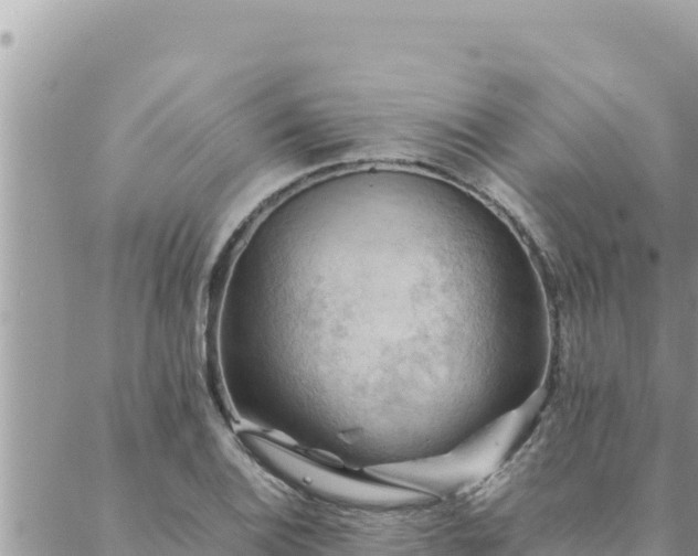 X0000088601124200706011156