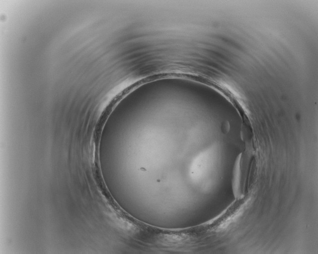 X0000088601125200706011156