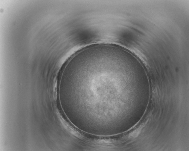 X0000088601126200706011156