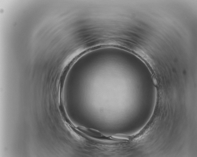 X0000088601127200706011156