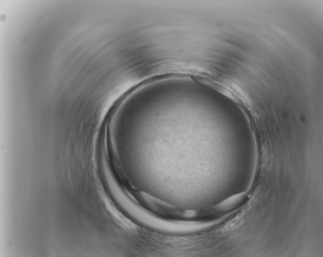 X0000088601128200706011156