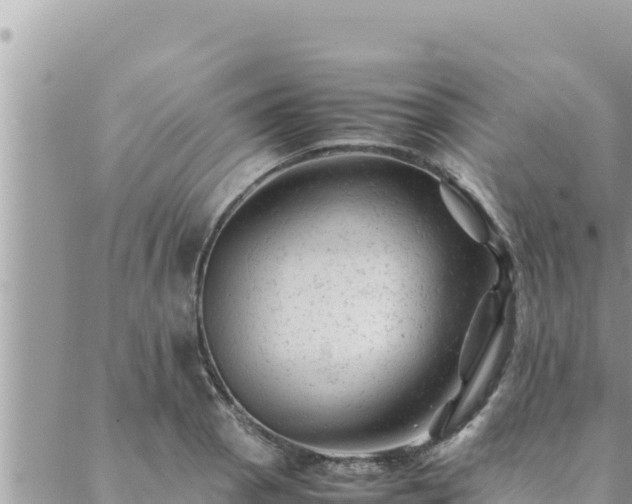 X0000088601129200706011156