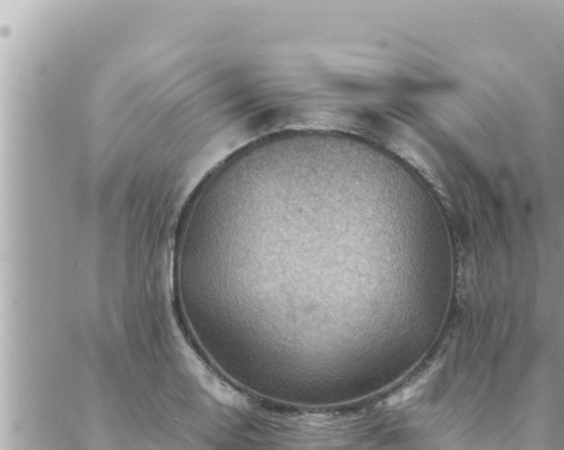 X0000088601130200706011156