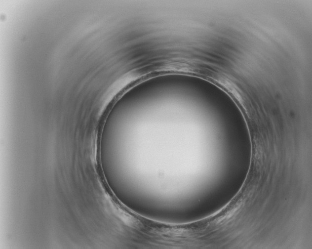 X0000088601131200706011156