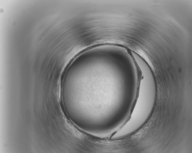 X0000088601132200706011156