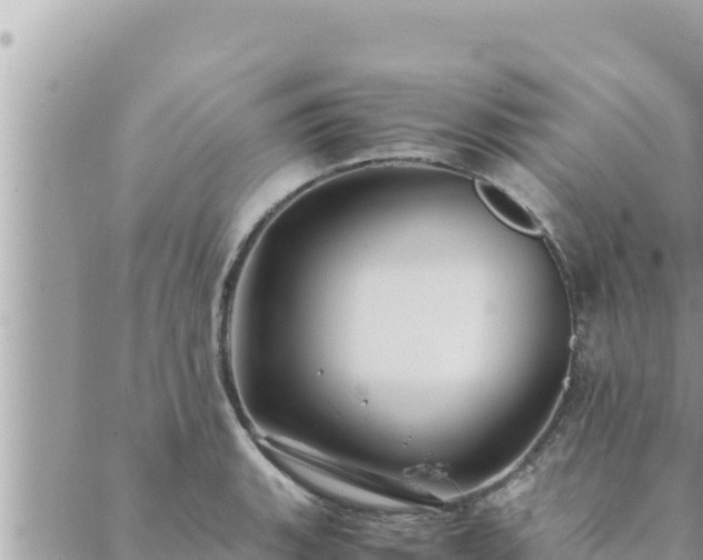 X0000088601135200706011156