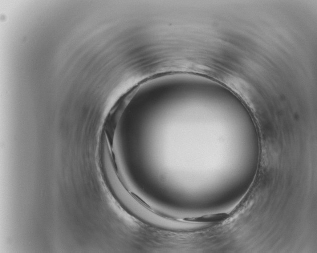 X0000088601136200706011156