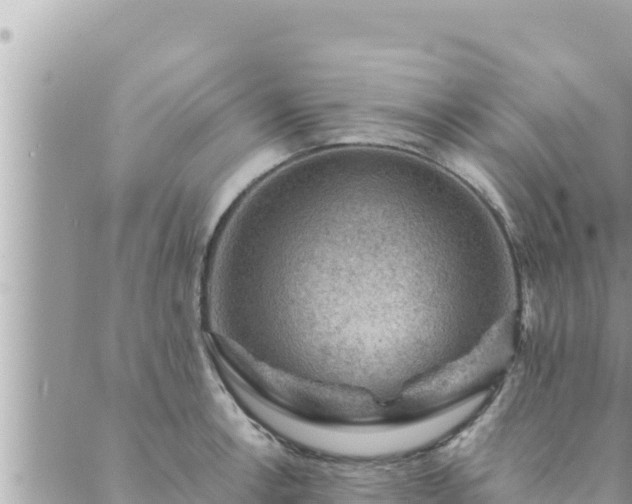 X0000088601138200706011156