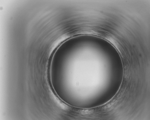 X0000088601139200706011156