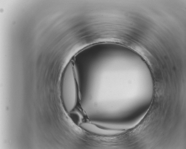 X0000088601140200706011156