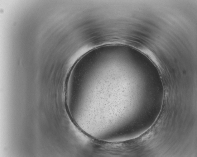 X0000088601143200706011156