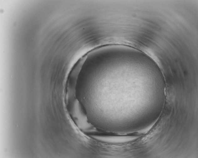 X0000088601144200706011156