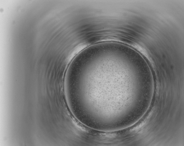 X0000088601145200706011156