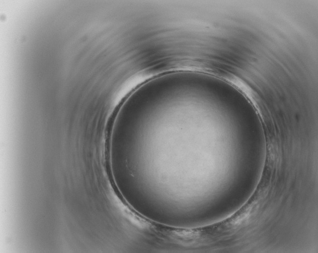 X0000088601147200706011156