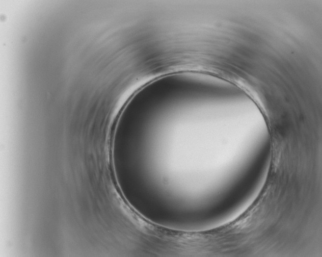 X0000088601148200706011156