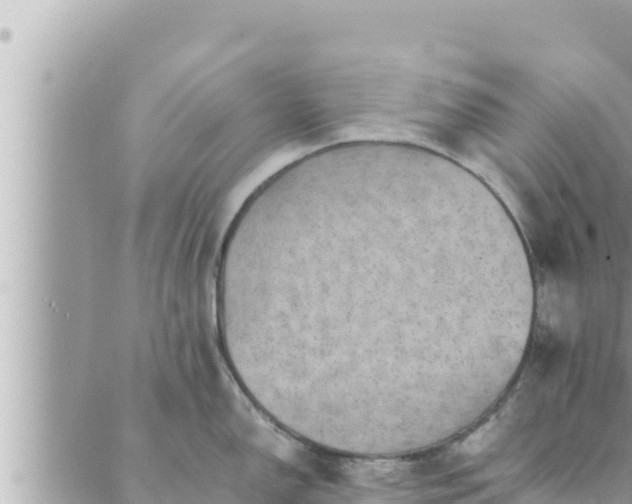 X0000088601150200706011156