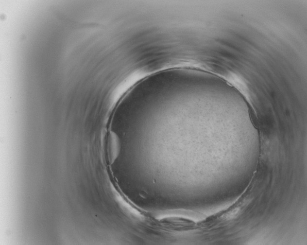 X0000088601151200706011156