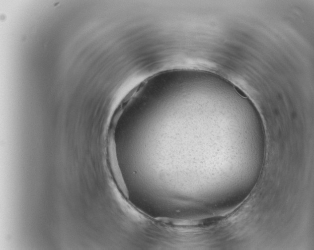 X0000088601152200706011156