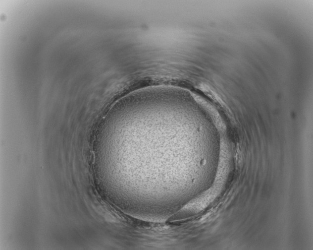 X0000088601153200706011155