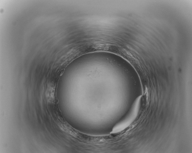 X0000088601154200706011155