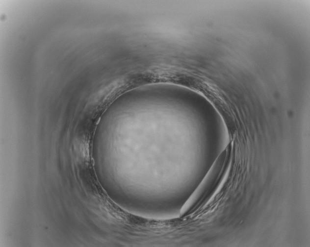 X0000088601155200706011155