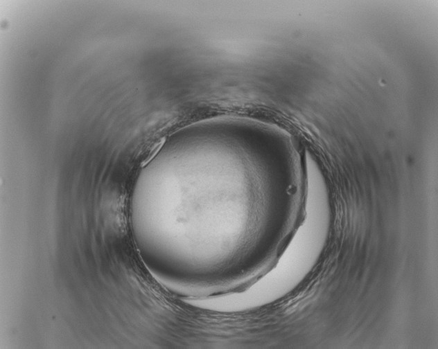 X0000088601156200706011155