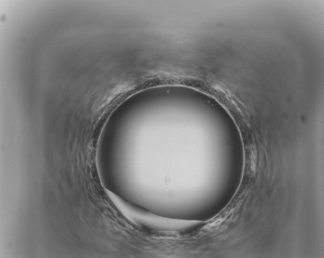 X0000088601157200706011155