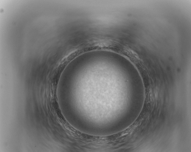 X0000088601158200706011155