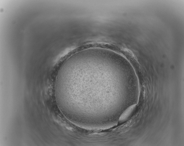 X0000088601159200706011155