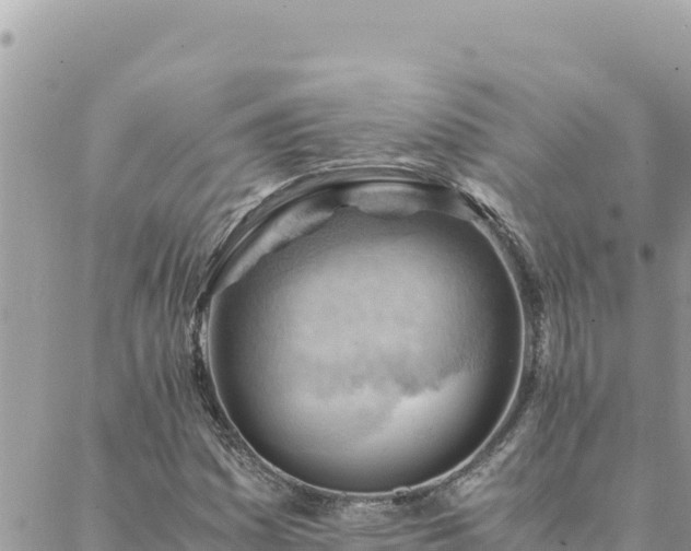 X0000088601161200706011155