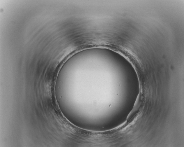 X0000088601162200706011155