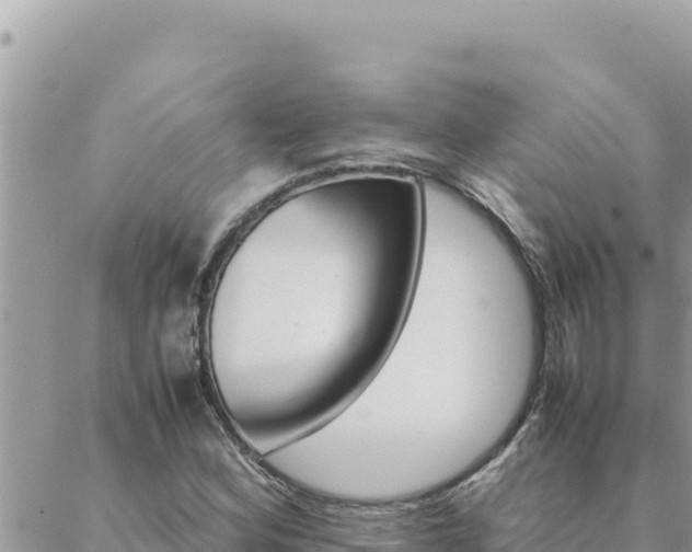 X0000088601164200706011155