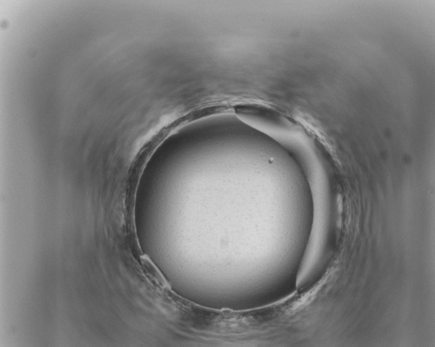 X0000088601165200706011155