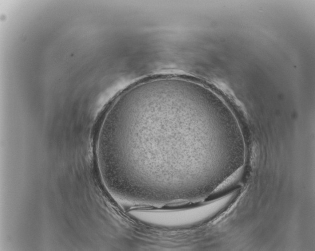 X0000088601167200706011155