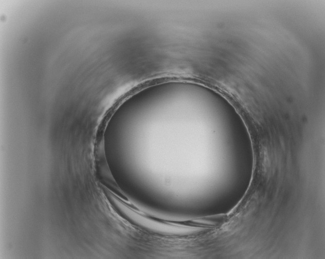 X0000088601168200706011155