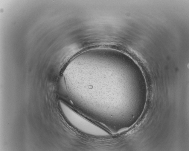 X0000088601169200706011155