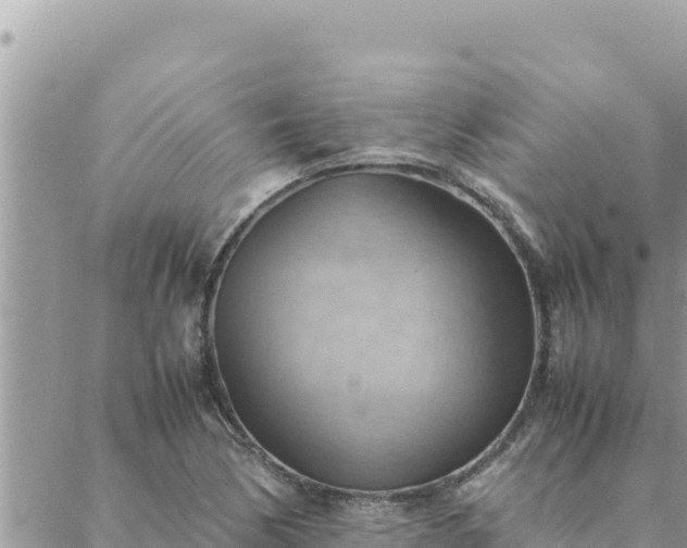 X0000088601170200706011155