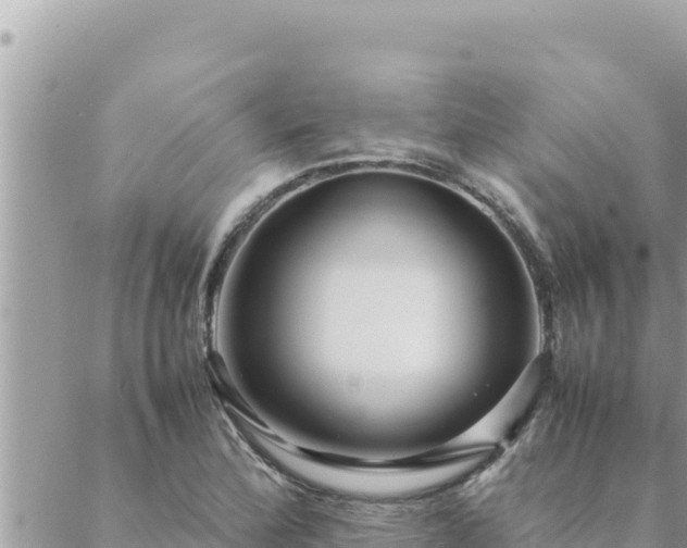 X0000088601172200706011155