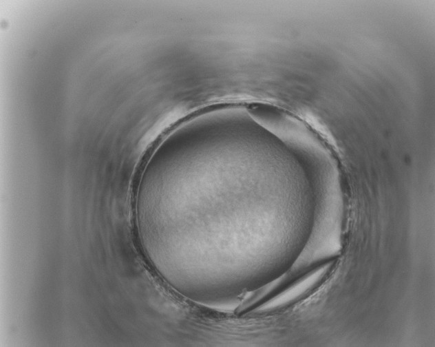 X0000088601173200706011155